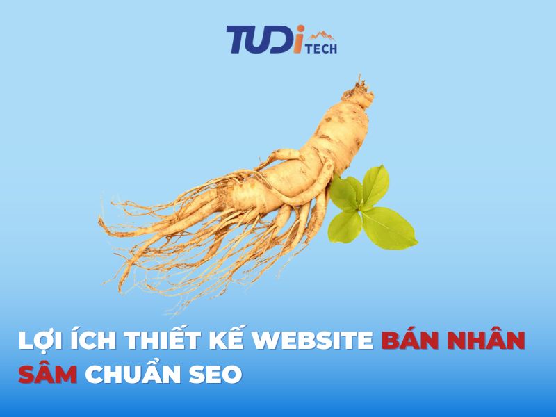 Lợi Ích Thiết Kế Website Bán Nhân Sâm Chuẩn SEO